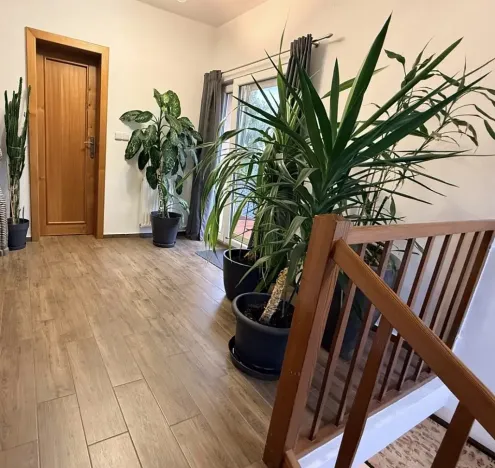 Prodej rodinného domu, Havlíčkův Brod, Trocnovská, 243 m2