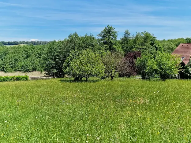 Prodej pozemku pro bydlení, Hrubá Skála, 3894 m2
