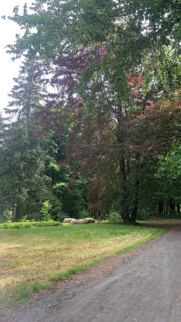 Prodej pozemku pro bydlení, Mařenice, 1610 m2