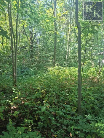 Prodej pozemku pro bydlení, Kozlovice, 1392 m2