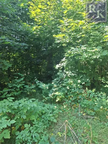 Prodej rodinného domu, Kozlovice, 75 m2