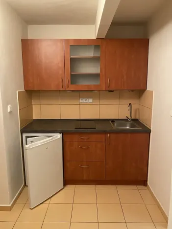 Pronájem bytu 1+kk, Praha - Michle, Počátecká, 24 m2