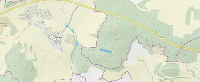Prodej lesa, Chlumany, 4760 m2