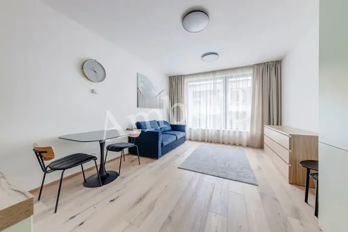 Pronájem bytu 1+kk, Praha - Karlín, Sokolovská, 28 m2