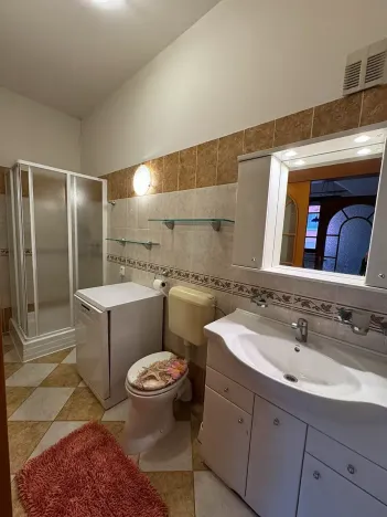 Prodej rodinného domu, Brno, Sladkovského, 180 m2