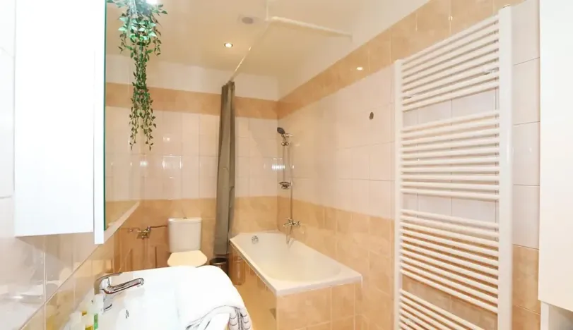 Pronájem bytu 2+kk, Praha - Vinohrady, Moravská, 53 m2
