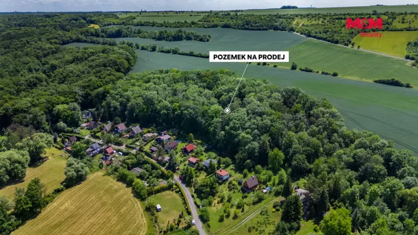Prodej lesa, Libochovice - Poplze, 49399 m2