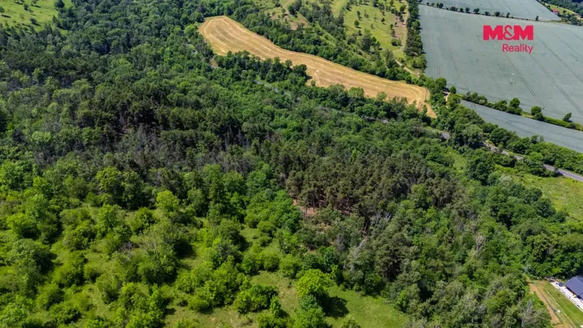 Prodej lesa, Libochovice - Poplze, 49399 m2