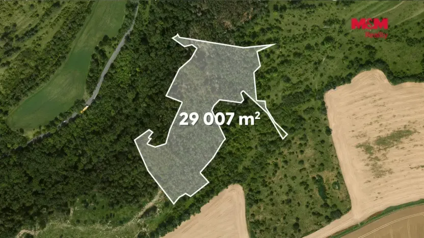 Prodej lesa, Libochovice - Poplze, 49399 m2
