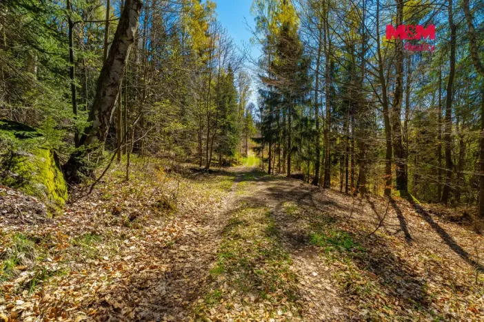Prodej chalupy, Tanvald - Šumburk nad Desnou, 118 m2
