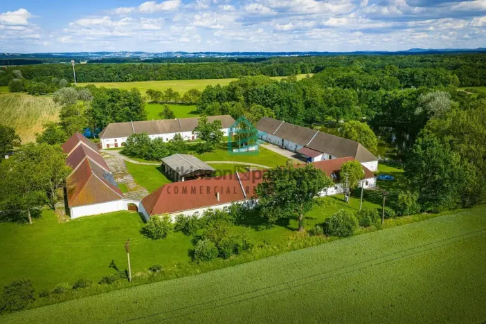 Prodej chaty, Břehov, 1600 m2