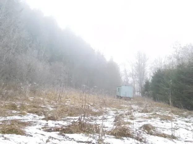 Dražba louky, Horní Planá, 3804 m2