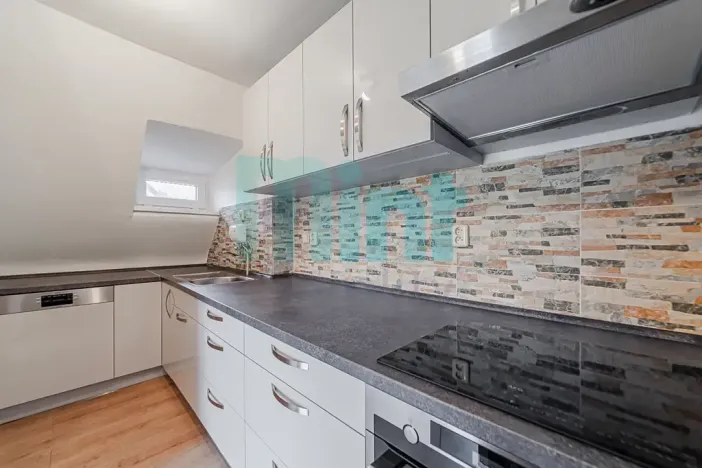 Prodej vícegeneračního domu, Ostrava, 250 m2