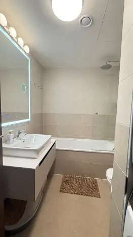 Prodej bytu 2+kk, Praha - Holešovice, U Pergamenky, 56 m2