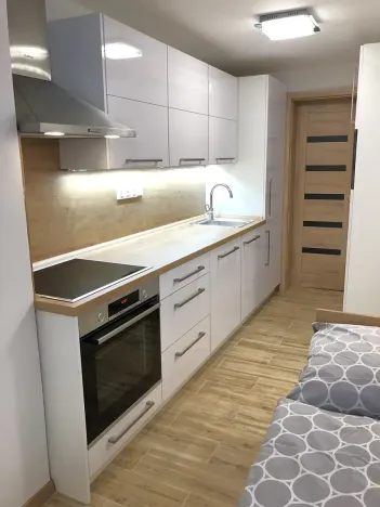 Pronájem bytu 1+kk, Zlín, Zadní luhy, 36 m2