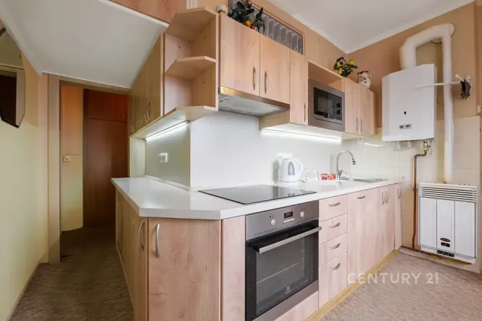 Prodej bytu 3+1, Podbořany, Alšova, 67 m2