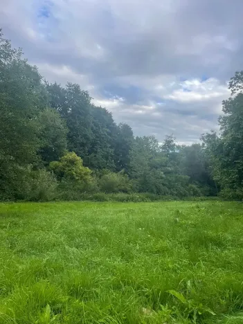 Prodej pozemku pro bydlení, Jedlá, 2598 m2