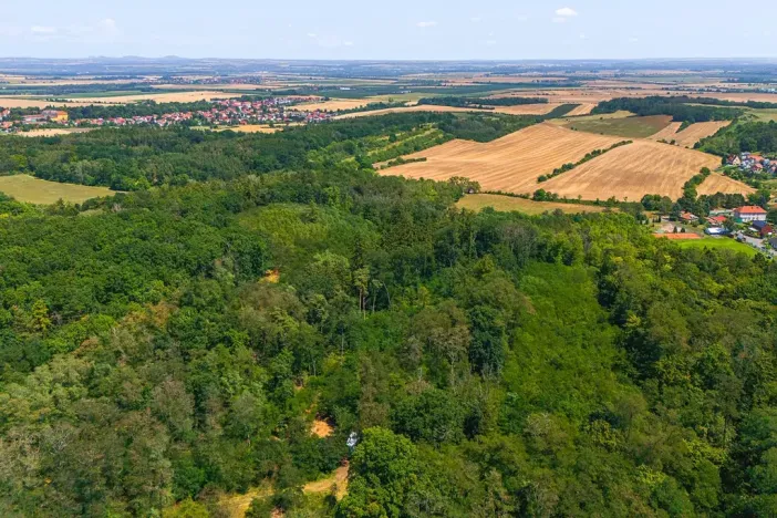 Prodej lesa, Jeviněves, 2859 m2