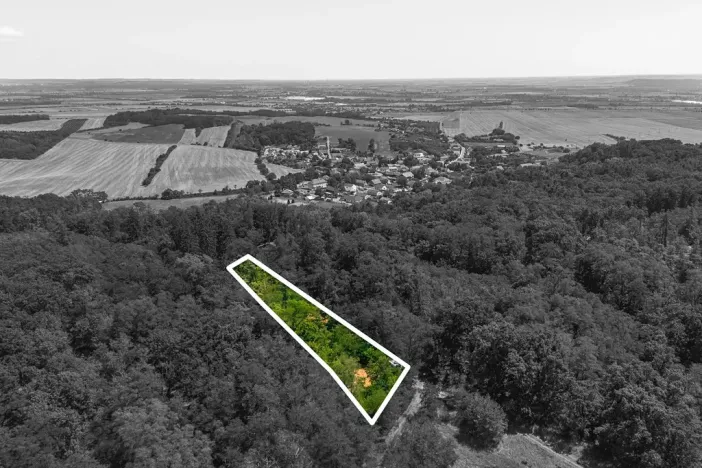 Prodej lesa, Jeviněves, 2859 m2