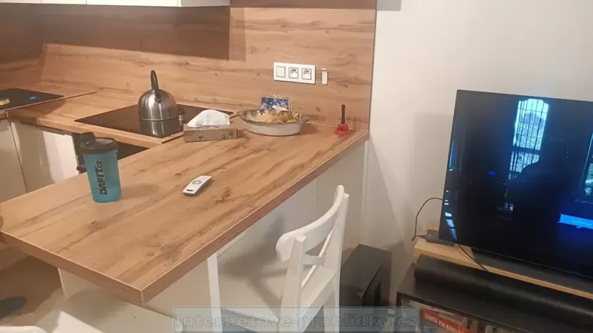 Pronájem bytu 1+kk, Praha - Vinoř, 32 m2