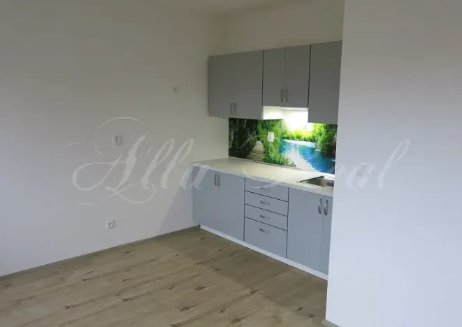 Pronájem bytu 1+kk, Ráječko, Sokolská, 32 m2