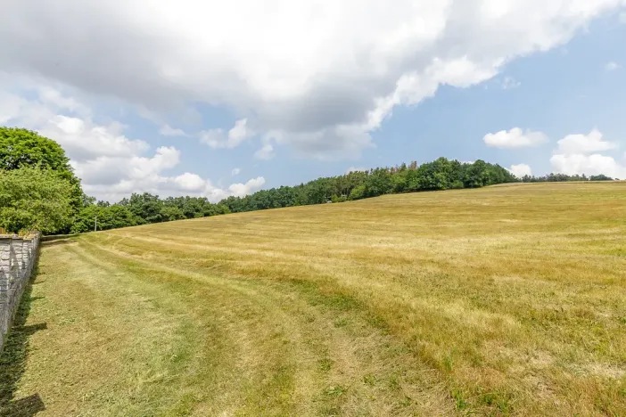 Prodej domu, Neveklov - Borovka, 550 m2