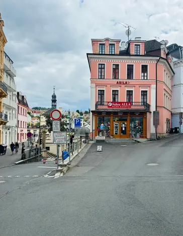 Pronájem apartmánu, Karlovy Vary, Zámecký vrch, 200 m2