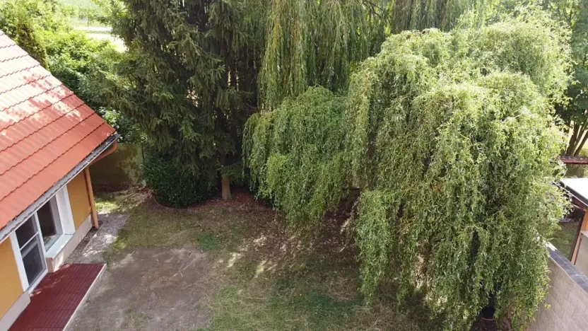 Prodej rodinného domu, Zvole, Přední, 230 m2
