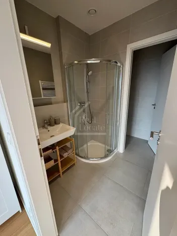 Pronájem bytu 1+kk, Praha - Holešovice, V háji, 36 m2