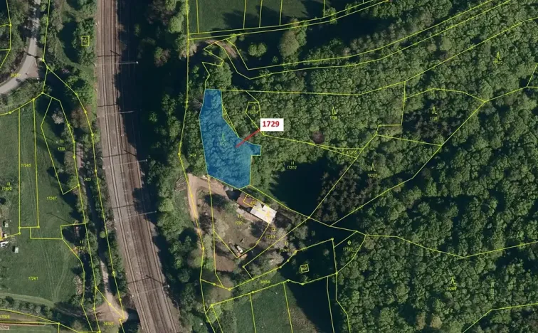 Dražba lesa, Valašská Polanka, 1112 m2