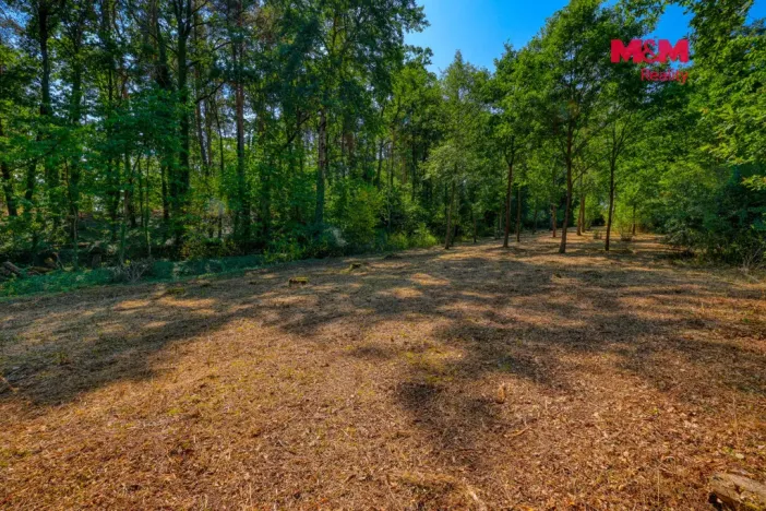 Prodej zahrady, Velký Bor - Slivonice, 2248 m2