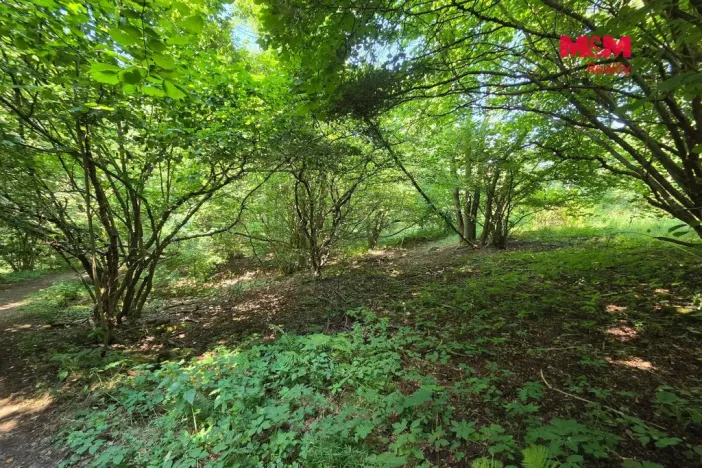 Prodej pozemku, Šemnice, 20949 m2