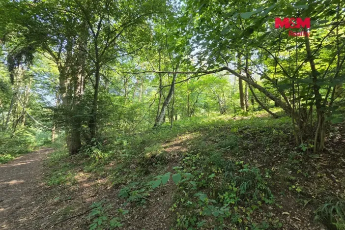 Prodej pozemku, Šemnice, 20949 m2