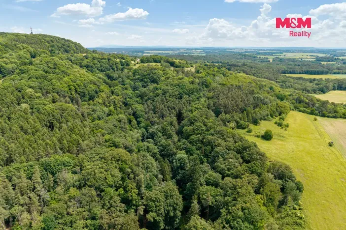Prodej louky, Nosálov - Libovice, 13358 m2