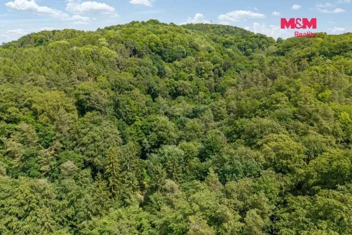 Prodej louky, Nosálov - Libovice, 13358 m2
