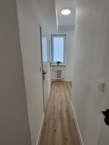 Prodej bytu 2+1, Brno - Pisárky, Preslova, 56 m2