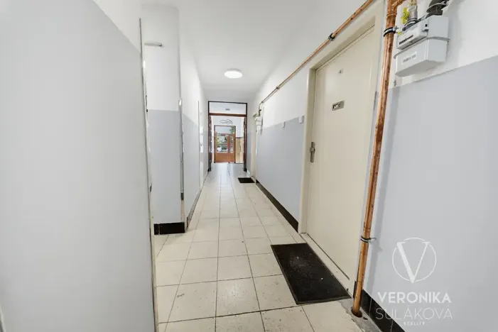 Prodej bytu 2+kk, Praha - Nusle, Kloboučnická, 59 m2