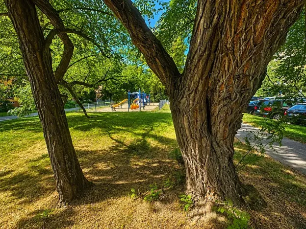Prodej bytu 2+kk, Praha - Kamýk, Cílkova, 43 m2