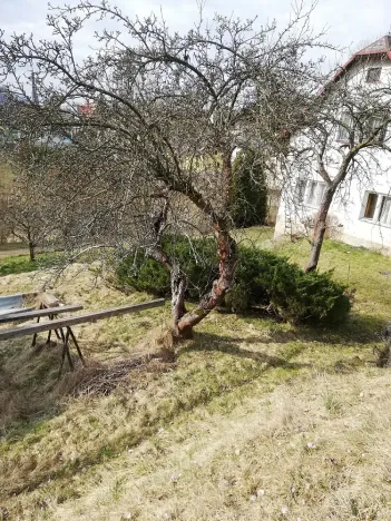 Prodej pozemku, Liberec - Liberec XXX-Vratislavice nad Nisou, Prosečská, 1708 m2