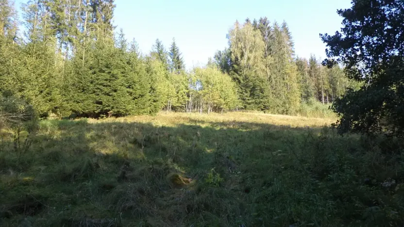 Prodej pole, Roztoky u Semil, 496 m2