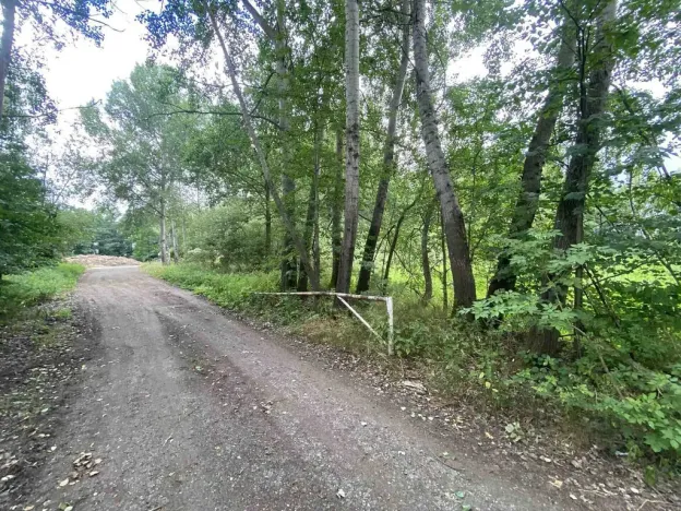 Prodej louky, Nové Hrady - Štiptoň, 6751 m2