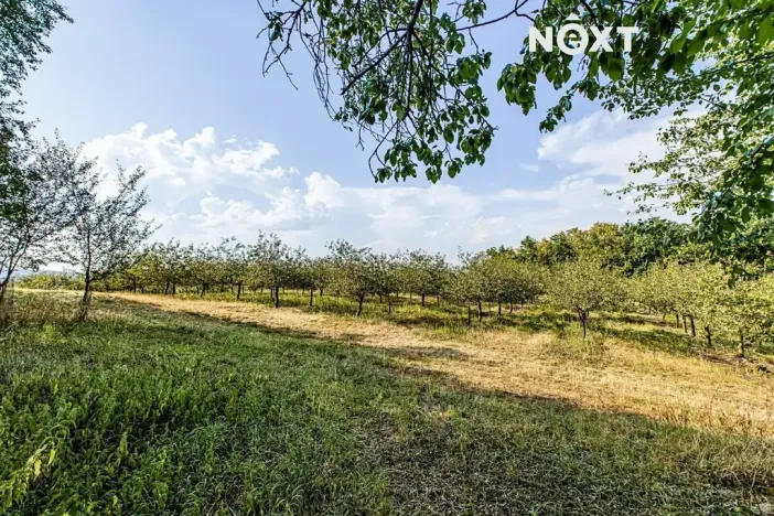 Prodej chalupy, Chelčice, 127 m2