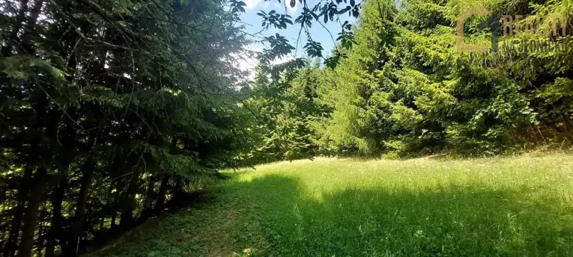 Prodej zemědělské usedlosti, Kunvald, 160 m2