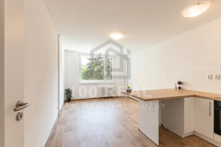 Pronájem bytu 1+kk, Hradec Králové, Selicharova, 30 m2