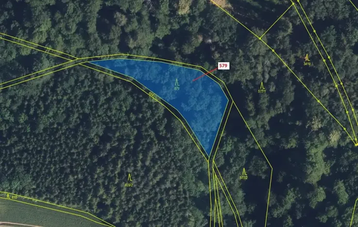 Dražba lesa, Zářecká Lhota, 1712 m2