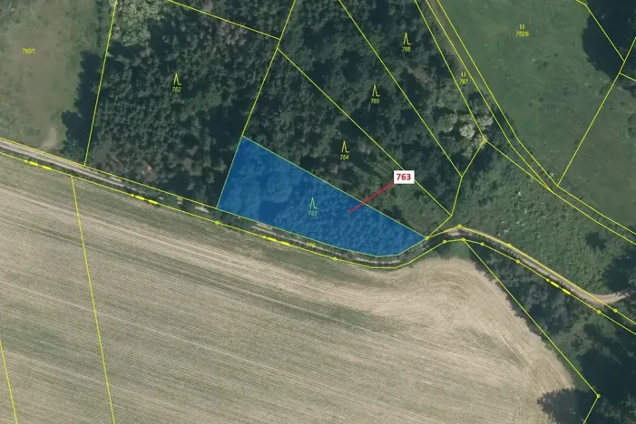 Dražba lesa, Zvěstov, 1498 m2