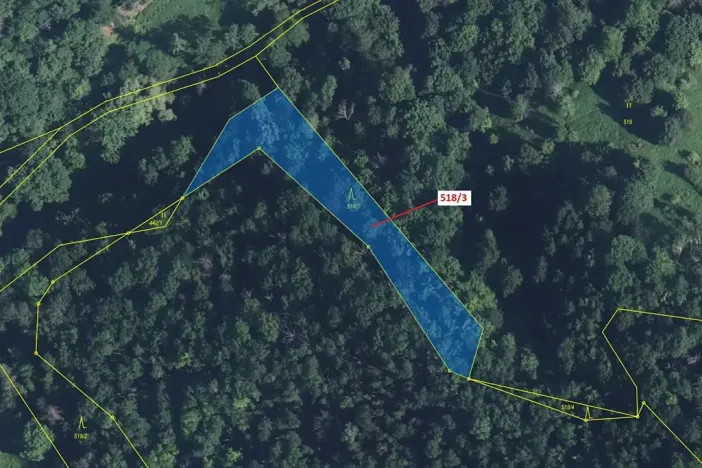 Dražba lesa, Malé Březno, 2232 m2