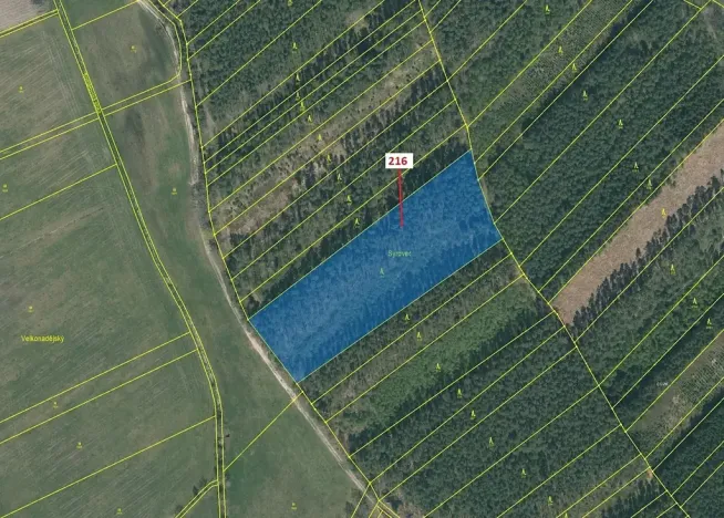 Dražba lesa, Komárov, 12481 m2
