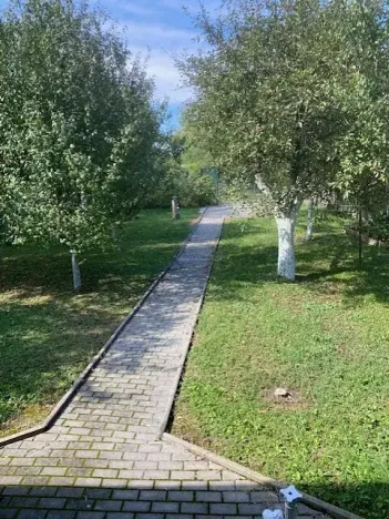 Dražba chaty, Hodonín, 24 m2