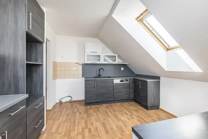 Prodej vícegeneračního domu, Mladá Boleslav, Viničná, 266 m2